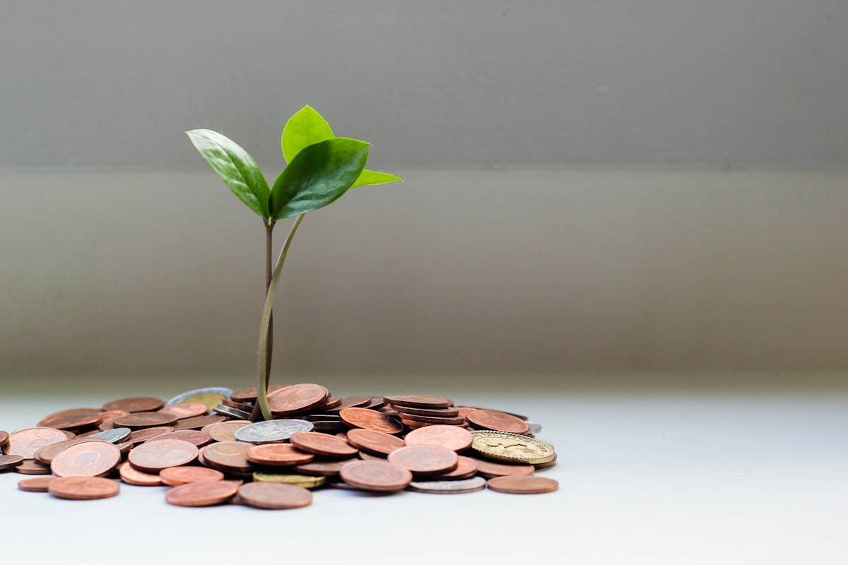 Music artist monetizing brand beyond streaming — revenue streams for independent musicians 2025